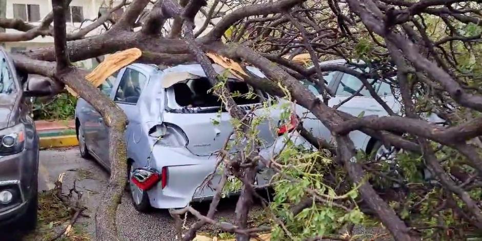 Árboles caen sobre automóviles, en daños causados ​​por el tifón Mawar en Tamuning, Guam, el 25 de mayo de 2023