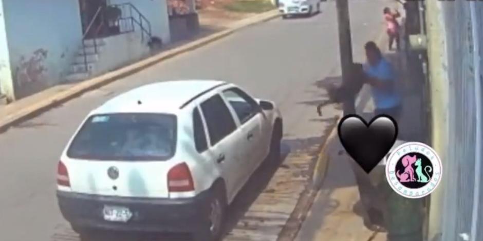 VIDEO. Hombre echa a un perrito a cazo de carnitas hirviendo (Imágenes sensibles)