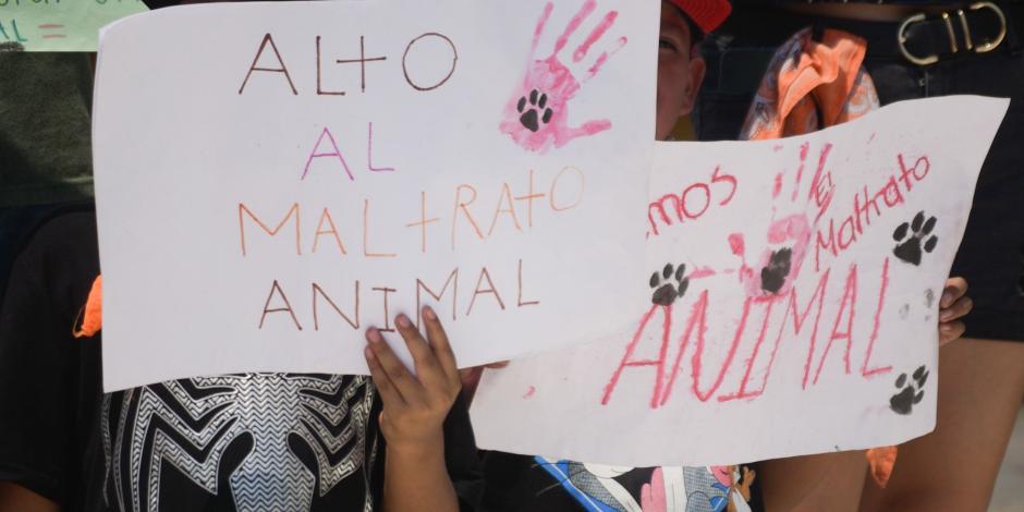 veracruzanos protestaron por el envenenamiento de perros, en abril pasado.