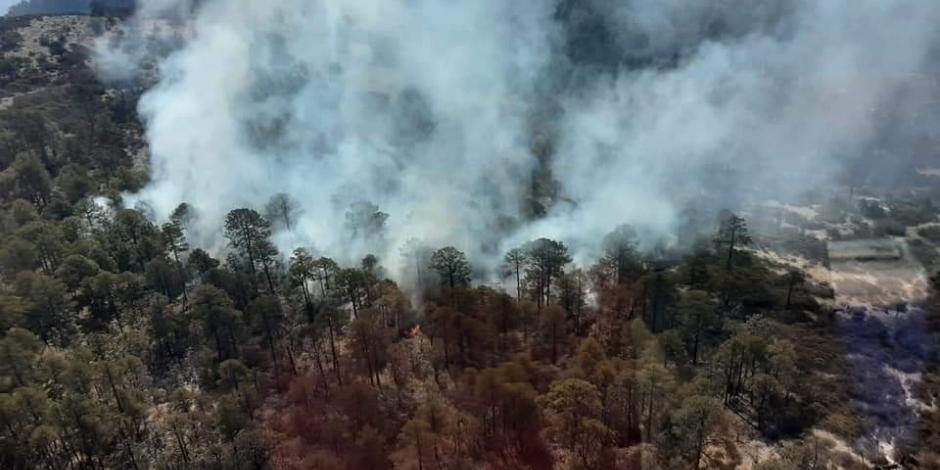 Personal de Protección Civil de Durango combatió durante todo el día de ayer el incendio forestal que inició desde el pasado viernes en el municipio de Nuevo Ideal.
