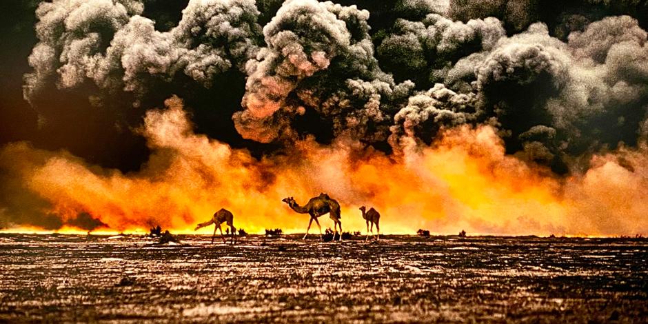 Camellos en campos de petróleo en llamas, Kuwait, 1991.