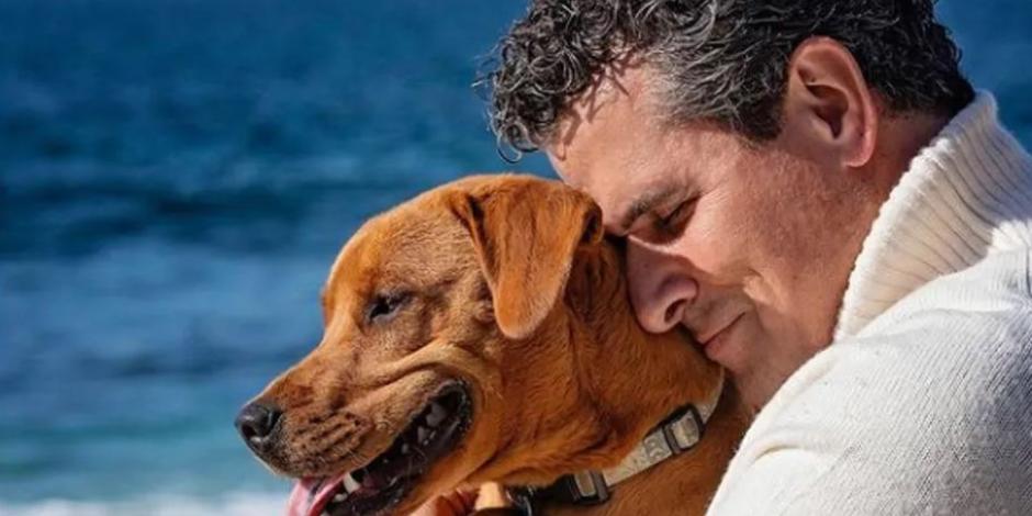 Destrozan a Marco Antonio Regil por dar en adopción a su perrita: 'romantiza el abandono animal'