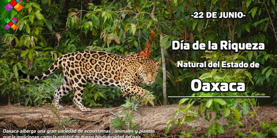 Día de la Riqueza Natural de Oaxaca, ¿De qué trata y qué actividades habrá?
