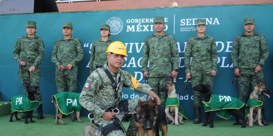 Cachorro Arkadas ya es parte de equipo del Plan DN-III.
