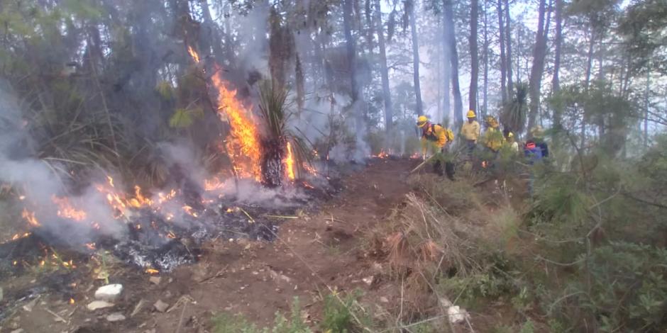 Incendio forestal en Puebla provocó la muerte de una persona.