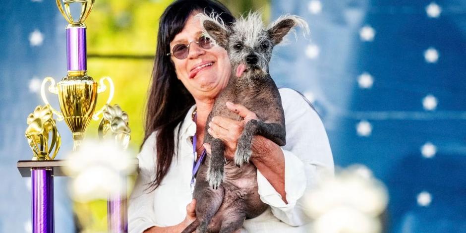 Scooter, un crestado chino de 7 años, está en manos de la dueña Linda Elmquist después de ganar el primer puesto en el Concurso del perro más feo del mundo en la Feria de Sonoma-Marin en Petaluma, California, el viernes 23 de junio de 2023.