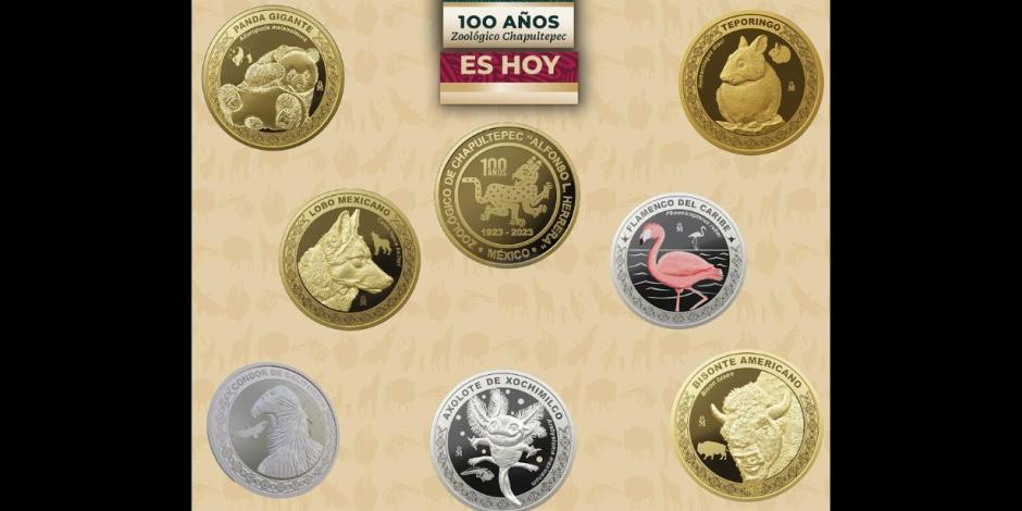Monedas especiales conmemorativas por los 100 años del zoológico de Chapultepec.