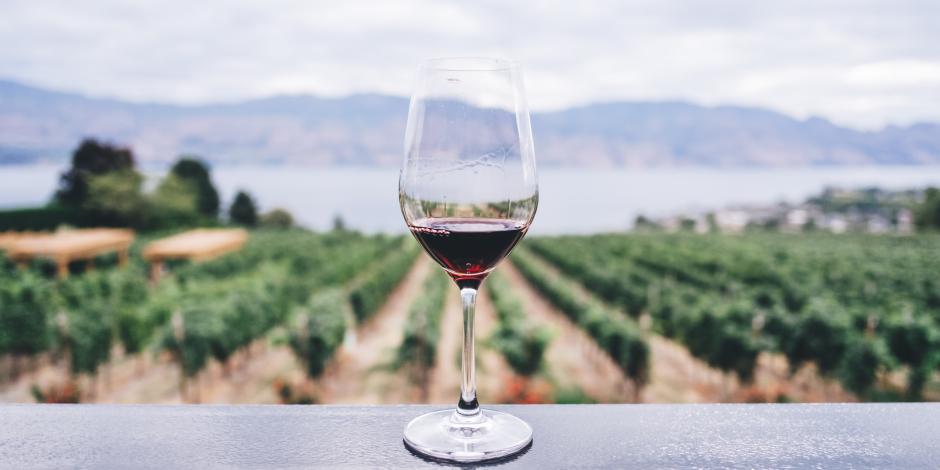De acuerdo con la Sectur la industria del vino en México genera unos 500 mil empleos.