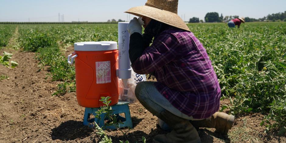 Un agricultor se hidrata mientras soporta la ola de calor en California, ayer.