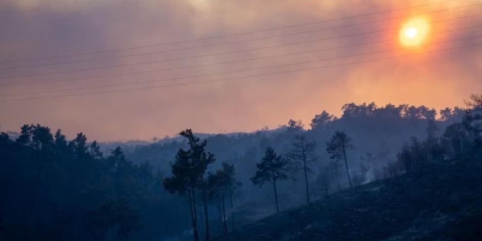 Un incendio forestal arde en un bosque cerca de Lardos, en la isla de Rodas, Grecia, el 22 de julio de 2023.