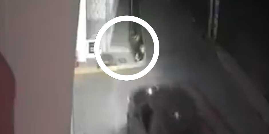La imagen muestra el momento previo a que el conductor de una comioneta embistiera a tres perritos en el Municipio de Cuautlancingo, en Puebla