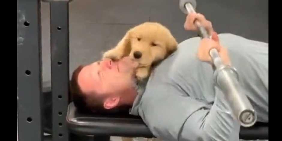 Un perrito demuestra cariño a un hombre en el gym