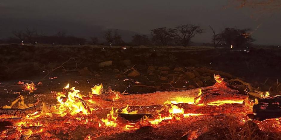 Árboles en llamas proliferan en varias regiones de la zona en medio de severos ventarrones por Dora.