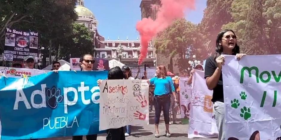 Marchan para exigir un alto total al maltrato animal en Puebla.
