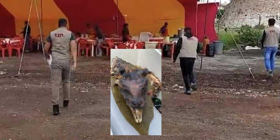 Encuentran supuesto cráneo de perro en un puesto de tacos de Tizayuca