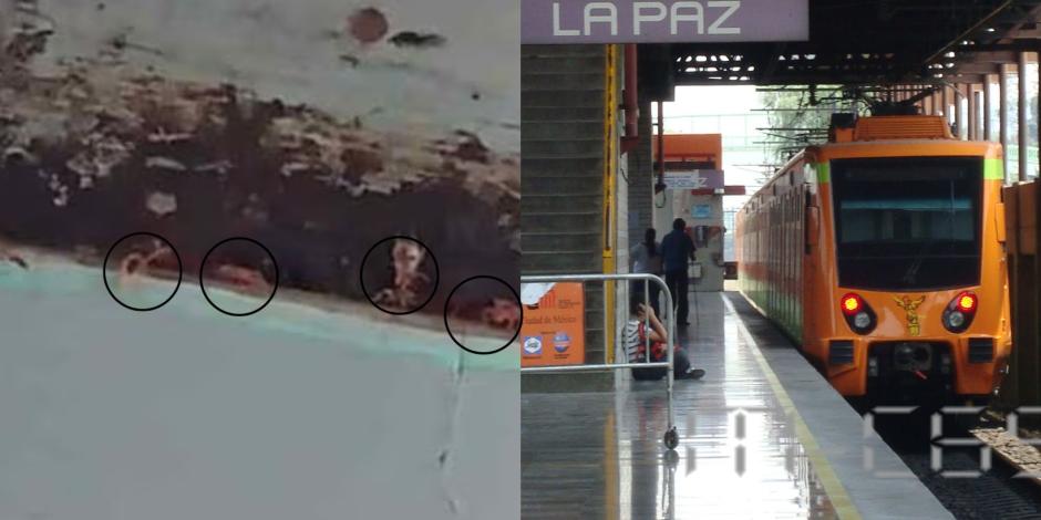 Chinches invaden el Metro CDMX: Pasajero denuncia plaga en Línea A