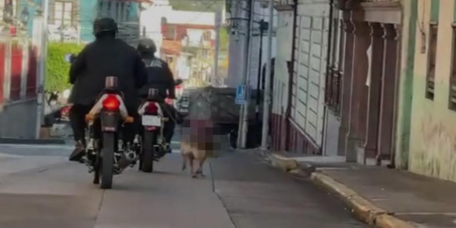 El perrito no podía caminar a la velocidad de la motocicleta; exigen castigo a los policías.
