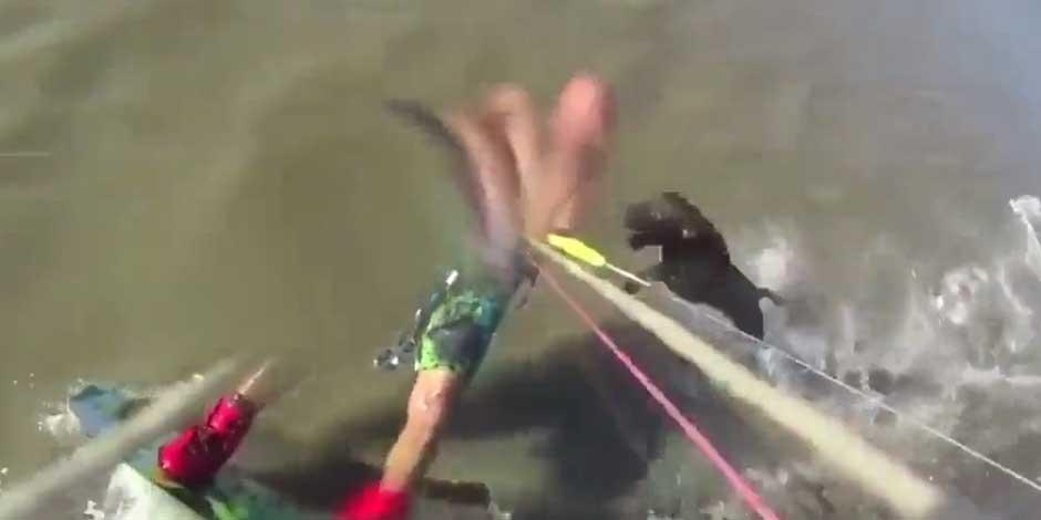 La imagen muestra el instante en que un perro ataca a un surfista