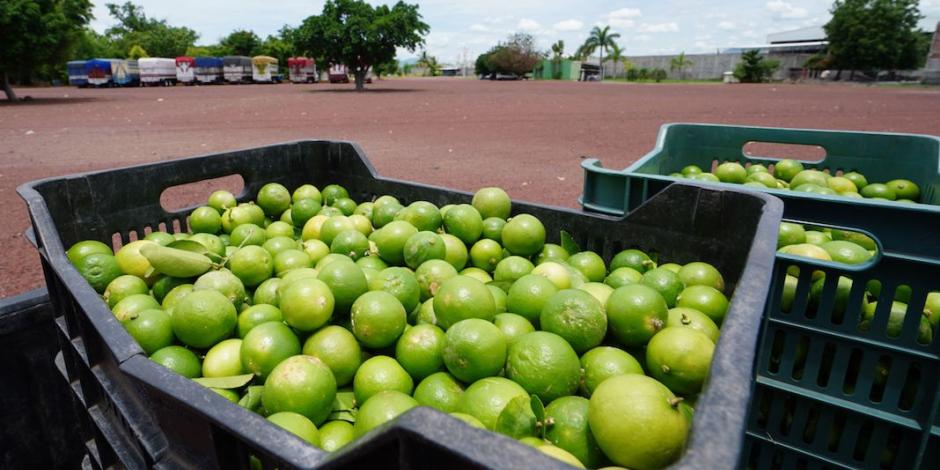 En las actividades agropecuarias es donde tiene mayor presencia la delincuencia y  las extorsiones inciden en los precios al productor, cuyo pago repercute en la inflación, como en el caso del limón.