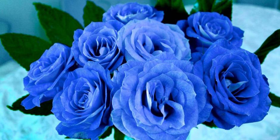 ¿Por qué se regalan flores azules el 3 de octubre?