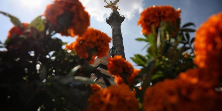 Festival de las Flores de Cempasúchil llega este miércoles 18 de octubre a Paseo de la Reforma.