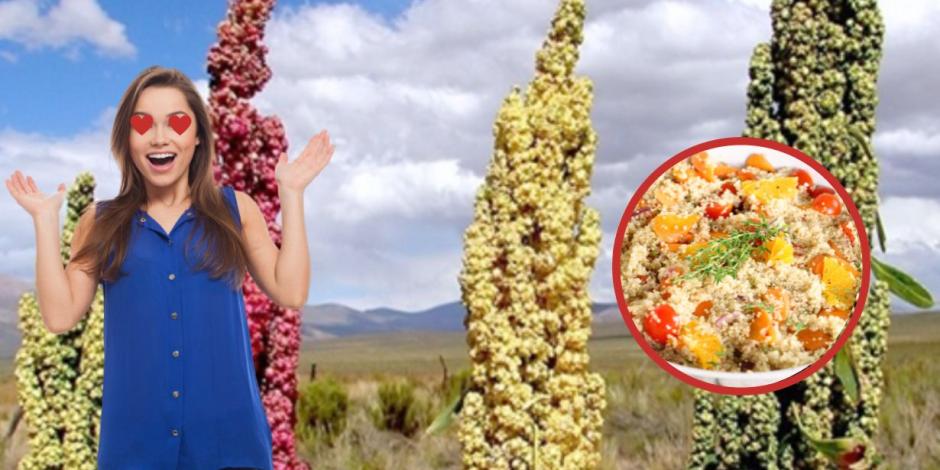 La quinoa es un alimento que contiene fibra, minerales, vitaminas, hierro y proteína.