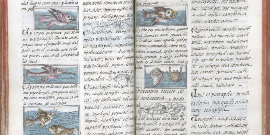 Libro del Códice Florentino, en una imagen de la Biblioteca Medicea.