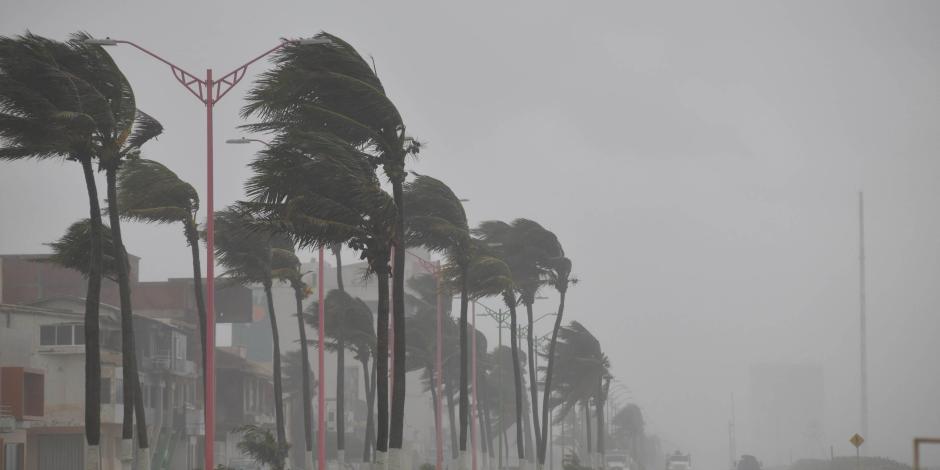 La tormenta tropical Pilar golpeó con fuertes rachas de viento e intensas lluvias en las costas de Veracruz, desde el pasado miércoles.
