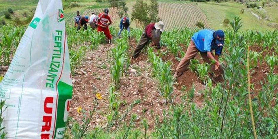 Perspectivas locales: Agricultores y residentes anticipan beneficios para la región con la llegada de las plantas de fertilizantes.