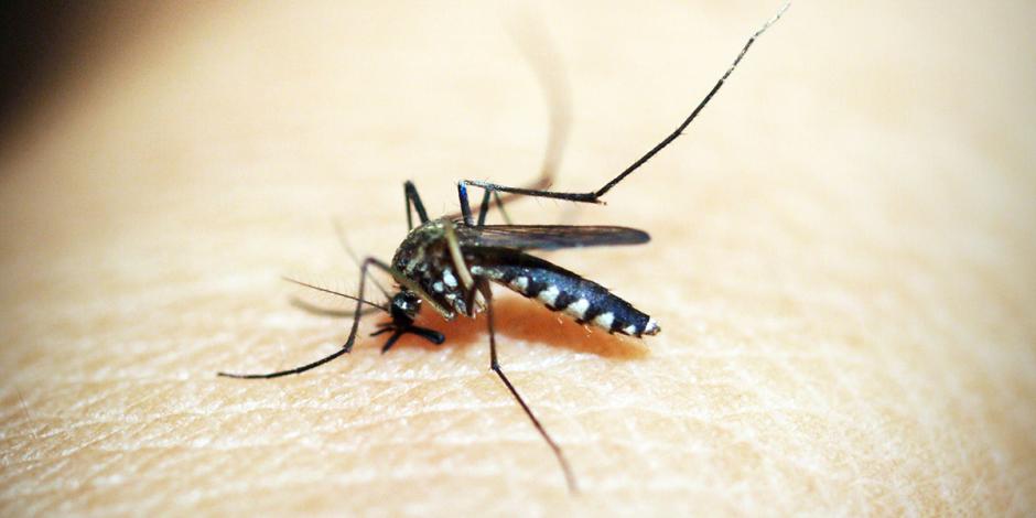 Tras paso de Otis, cuarta parte de los casos de dengue
