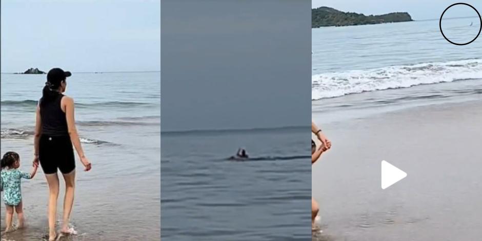 VIDEO del momento en que un tiburón ataca a un turista en playa de Zihuatanejo