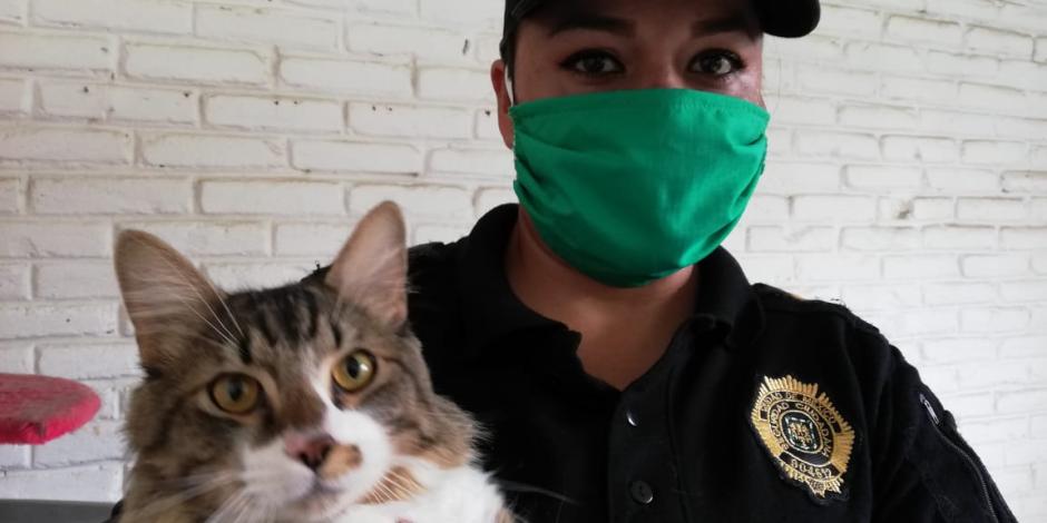 Elemento de la Brigada de Vigilancia Animal con un gato.