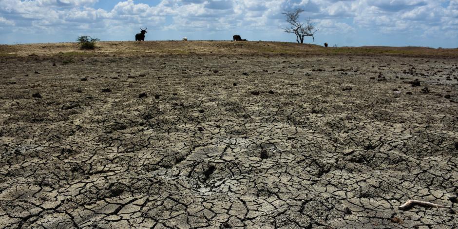 Sequía en la localidad de Alfredo V. Bonfil, Campeche, el pasado 15 de junio.