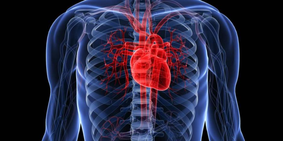 Enfermedades del corazón encabezan causas de muerte.