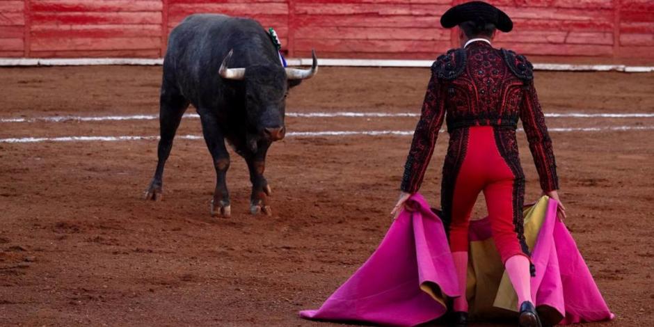 Jueza rechaza otorgar suspensión definitiva a las corridas de toros en la Plaza México