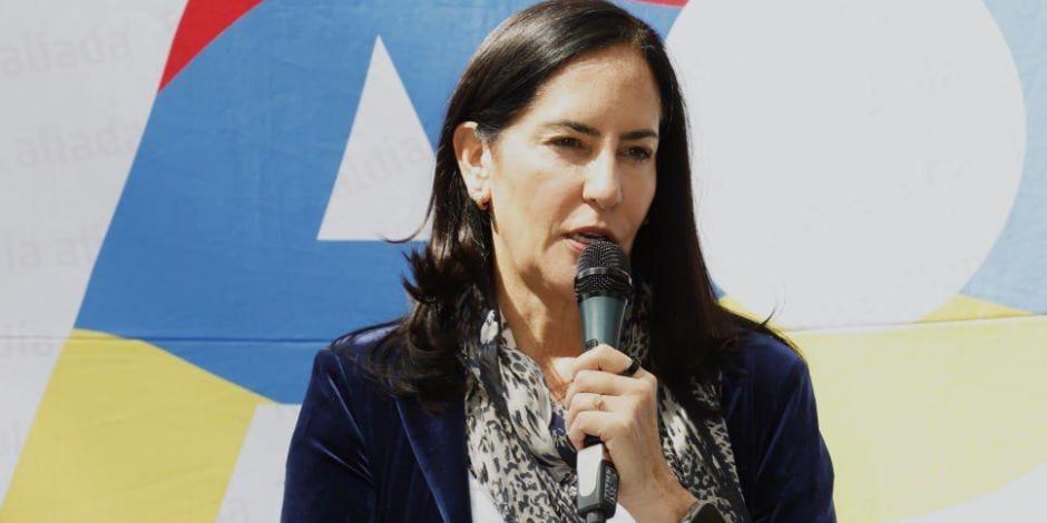 La alcaldesa Lía Limón acusó que hay una campaña en su contra.