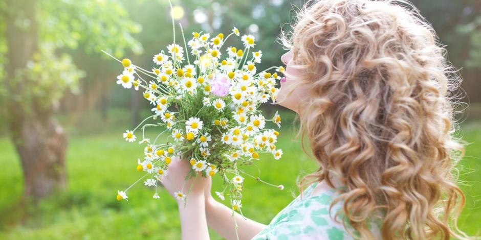 Es fácil aclarar el cabello con la flor de manzanilla.
