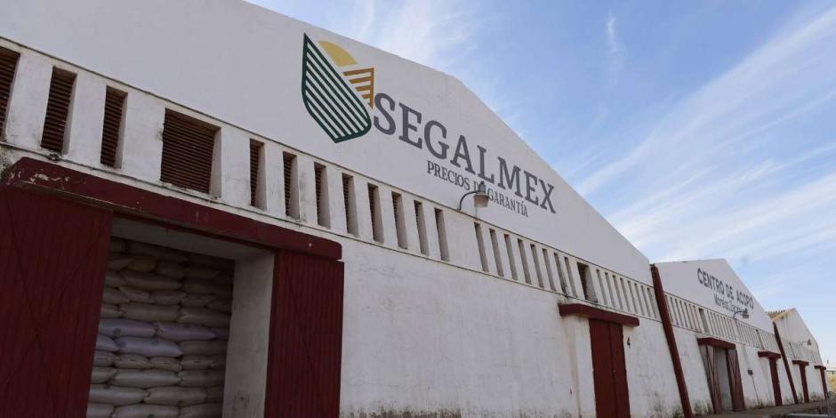 Las irregularidades financieras en Segalmex siguen presentándose, pues la Auditoría Superior de la Federación (ASF) identificó un posible daño al erario por más 177 millones de pesos,