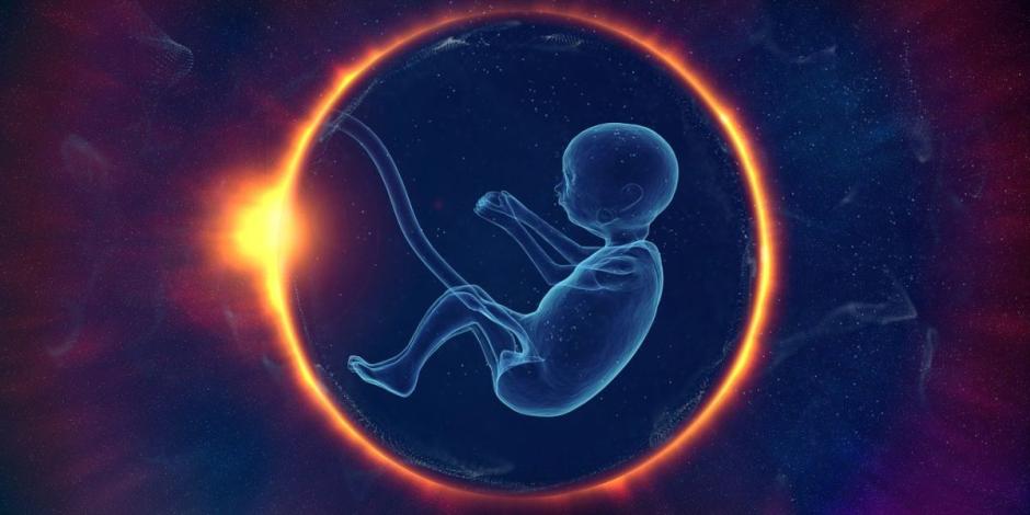Hospital de Alabama frena tratamientos de fertilización tras reconocimiento de embriones como niños.