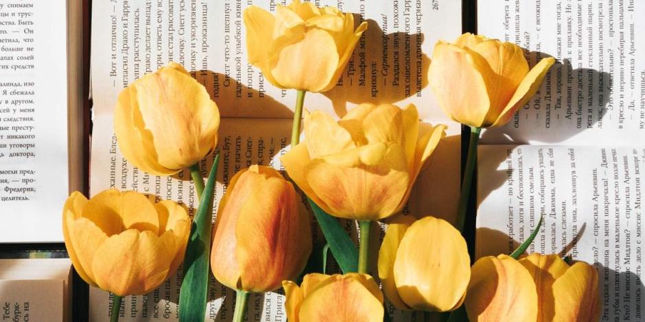 ¿Qué día se regalan flores amarillas y qué significa?
