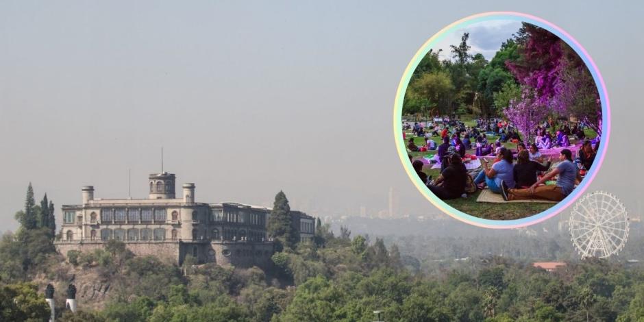 Habrá mega picnic en el Festival del Bosque de Chapultepec.