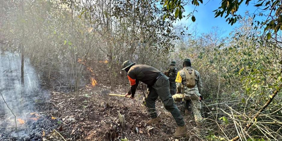Brigadistas y autoridades locales se unen para combatir el incendio en el cerro El Gentil, Huiloapan.
