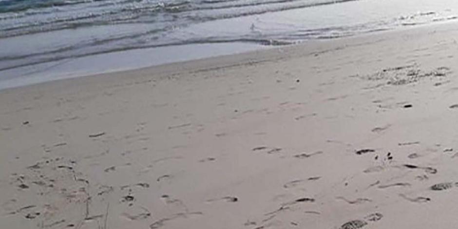 Encuentran ocho cuerpos en playa de San Francisco del Mar.