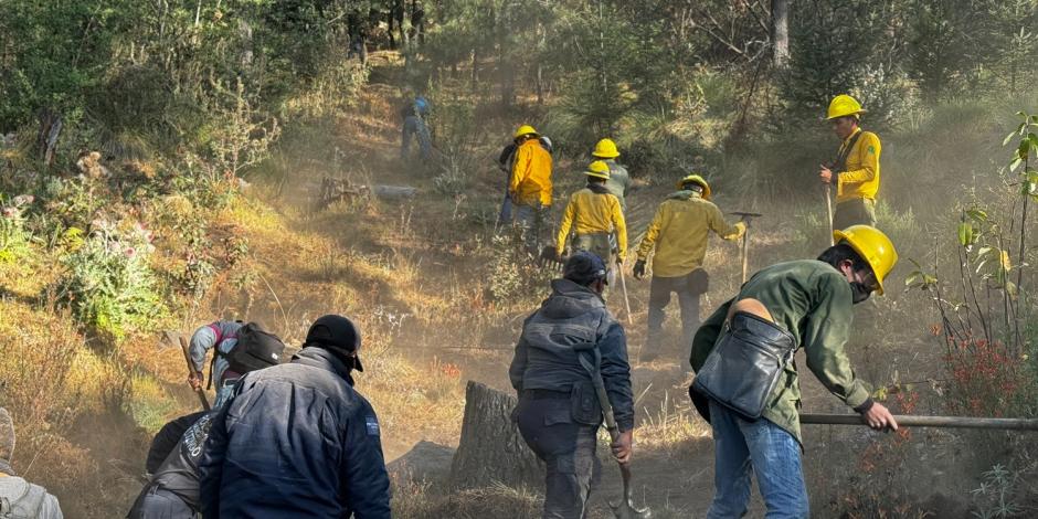 Brigadas del Estado de México realizan trabajos para combatir los siniestros forestales, ayer.