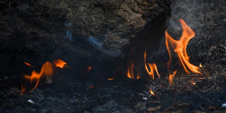 Hay 73 incendios forestales activos en el país, reporta Conafor.