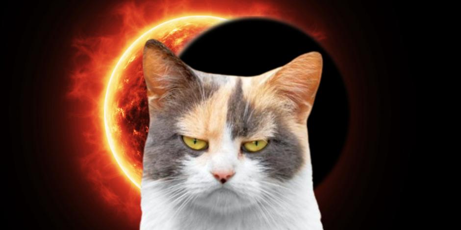 El eclipse solar podría afectar el comportamiento de los animales.