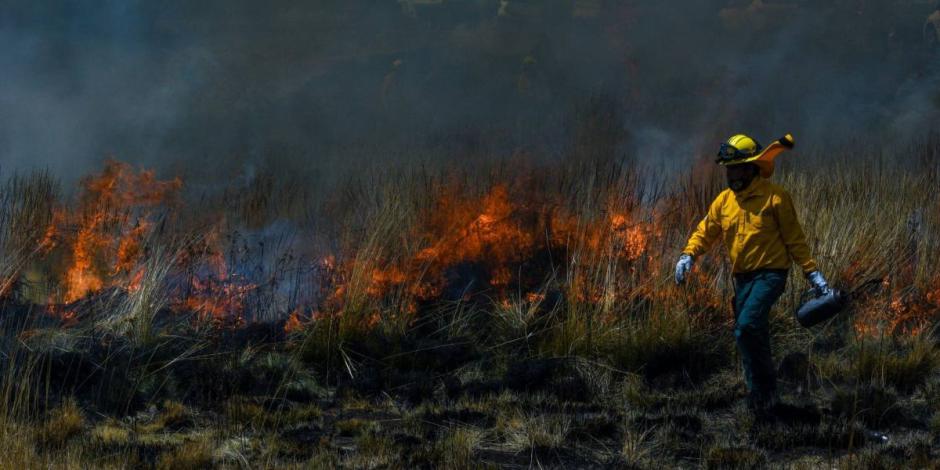 Hay 75 incendios forestales activos en México, reporta Conafor.