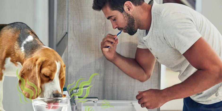 Sacmex hace recomendaciones de no lavarnos los dientes con el agua contaminada ni suministrarla a las mascotas.