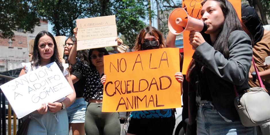 Activistas contra el maltrato animal se manifestaron afuera del Senado, ayer.
