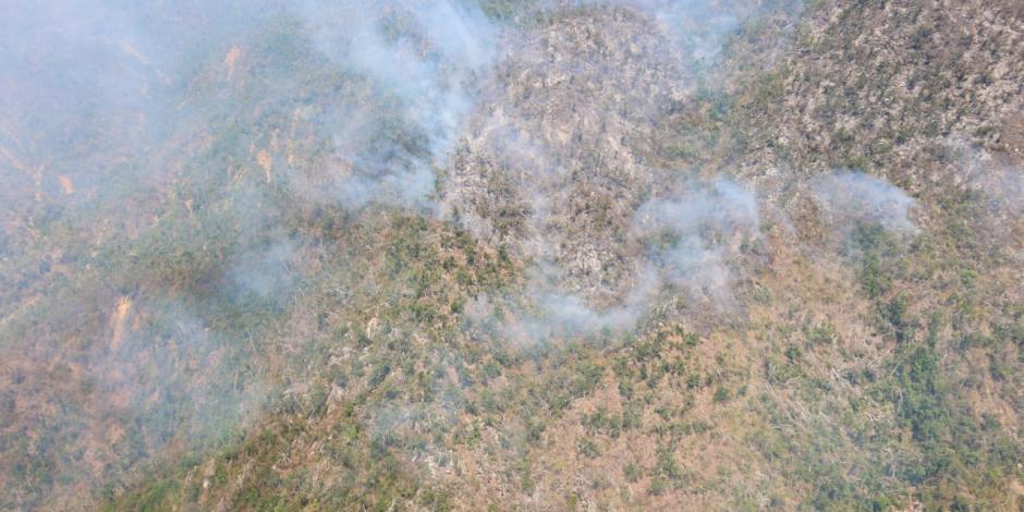 Incendio forestal en Acapulco, en fotografía de archivo.